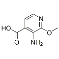 anti-HYAL1 antibody (Hyaluronidase-1) (N-Term)