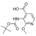 anti-HYAL1 antibody (Hyaluronidase-1) (N-Term)
