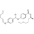 anti-HYAL1 antibody (Hyaluronidase-1) (N-Term)