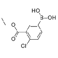 anti-HYAL1 antibody (Hyaluronidase-1) (N-Term)