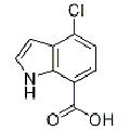 anti-HYAL1 antibody (Hyaluronidase-1) (N-Term)