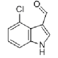 anti-HYAL1 antibody (Hyaluronidase-1) (N-Term)