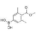 anti-HYAL1 antibody (Hyaluronidase-1) (N-Term)