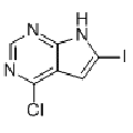 anti-HYAL1 antibody (Hyaluronidase-1) (N-Term)
