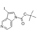 anti-HYAL1 antibody (Hyaluronidase-1) (N-Term)