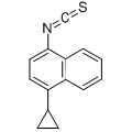 anti-HYAL1 antibody (Hyaluronidase-1) (N-Term)