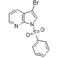 anti-HYAL1 antibody (Hyaluronidase-1) (N-Term)