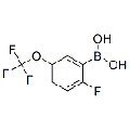 anti-HYAL1 antibody (Hyaluronidase-1) (N-Term)