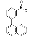 anti-HYAL1 antibody (Hyaluronidase-1) (N-Term)