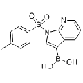anti-HYAL1 antibody (Hyaluronidase-1) (N-Term)