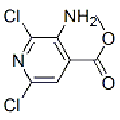 anti-HYAL1 antibody (Hyaluronidase-1) (N-Term)