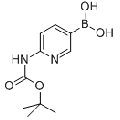 anti-HYAL1 antibody (Hyaluronidase-1) (N-Term)