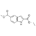 anti-HYAL1 antibody (Hyaluronidase-1) (N-Term)