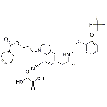anti-HYAL1 antibody (Hyaluronidase-1) (N-Term)