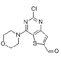 anti-HYAL1 antibody (Hyaluronidase-1) (N-Term)