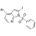 anti-HYAL1 antibody (Hyaluronidase-1) (N-Term)