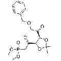 anti-HYAL1 antibody (Hyaluronidase-1) (N-Term)