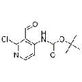 anti-HYAL1 antibody (Hyaluronidase-1) (N-Term)