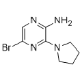 anti-HYAL1 antibody (Hyaluronidase-1) (N-Term)