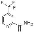 anti-HYAL1 antibody (Hyaluronidase-1) (N-Term)