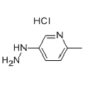anti-HYAL1 antibody (Hyaluronidase-1) (N-Term)