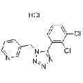 anti-HYAL1 antibody (Hyaluronidase-1) (N-Term)