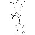 anti-HYAL1 antibody (Hyaluronidase-1) (N-Term)