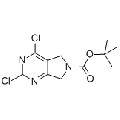 anti-HYAL1 antibody (Hyaluronidase-1) (N-Term)