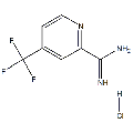 anti-HYAL1 antibody (Hyaluronidase-1) (N-Term)