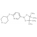 anti-HYAL1 antibody (Hyaluronidase-1) (N-Term)