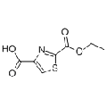 anti-HYAL1 antibody (Hyaluronidase-1) (N-Term)