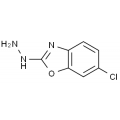 anti-HYAL1 antibody (Hyaluronidase-1) (N-Term)
