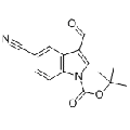 anti-HYAL1 antibody (Hyaluronidase-1) (N-Term)