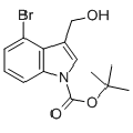 anti-HYAL1 antibody (Hyaluronidase-1) (N-Term)