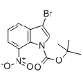 anti-HYAL1 antibody (Hyaluronidase-1) (N-Term)