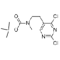 anti-HYAL1 antibody (Hyaluronidase-1) (N-Term)