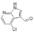 anti-HYAL1 antibody (Hyaluronidase-1) (N-Term)
