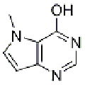 anti-HYAL1 antibody (Hyaluronidase-1) (N-Term)
