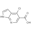 anti-HYAL1 antibody (Hyaluronidase-1) (N-Term)