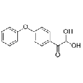anti-HYAL1 antibody (Hyaluronidase-1) (N-Term)