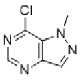 anti-HYAL1 antibody (Hyaluronidase-1) (N-Term)