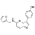 anti-HYAL1 antibody (Hyaluronidase-1) (N-Term)
