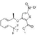anti-HYAL1 antibody (Hyaluronidase-1) (N-Term)