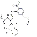 anti-HYAL1 antibody (Hyaluronidase-1) (N-Term)