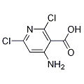 anti-HYAL1 antibody (Hyaluronidase-1) (N-Term)