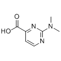 anti-HYAL1 antibody (Hyaluronidase-1) (N-Term)