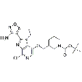 anti-HYAL1 antibody (Hyaluronidase-1) (N-Term)