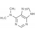 anti-HYAL1 antibody (Hyaluronidase-1) (N-Term)