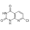 anti-HYAL1 antibody (Hyaluronidase-1) (N-Term)