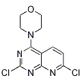 anti-HYAL1 antibody (Hyaluronidase-1) (N-Term)